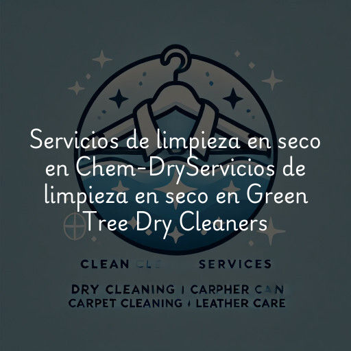 Servicios de limpieza en seco en