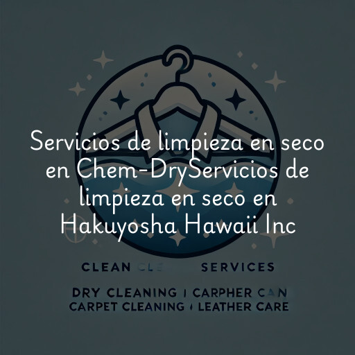 Servicios de limpieza en seco en