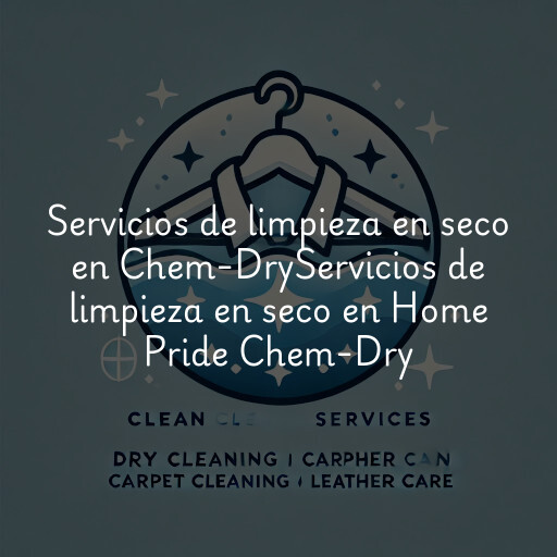 Servicios de limpieza en seco en