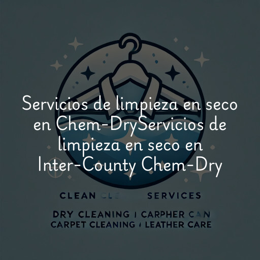 Servicios de limpieza en seco en