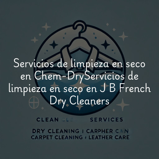 Servicios de limpieza en seco en