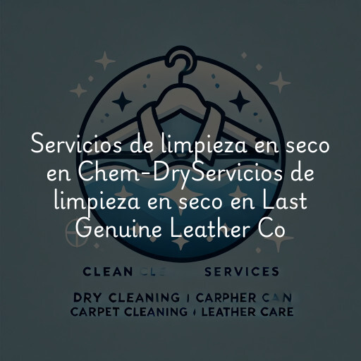Servicios de limpieza en seco en