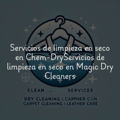 Servicios de limpieza en seco en