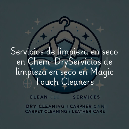 Servicios de limpieza en seco en