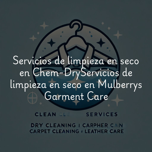 Servicios de limpieza en seco en