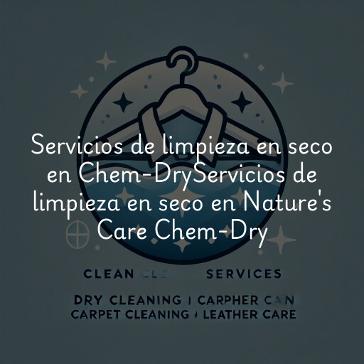 Servicios de limpieza en seco en