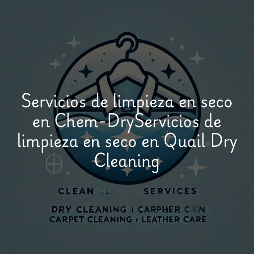 Servicios de limpieza en seco en