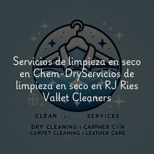 Servicios de limpieza en seco en