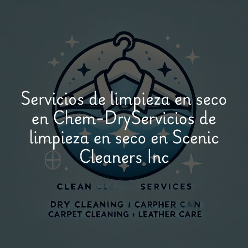 Servicios de limpieza en seco en