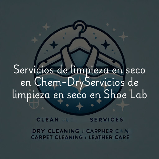 Servicios de limpieza en seco en