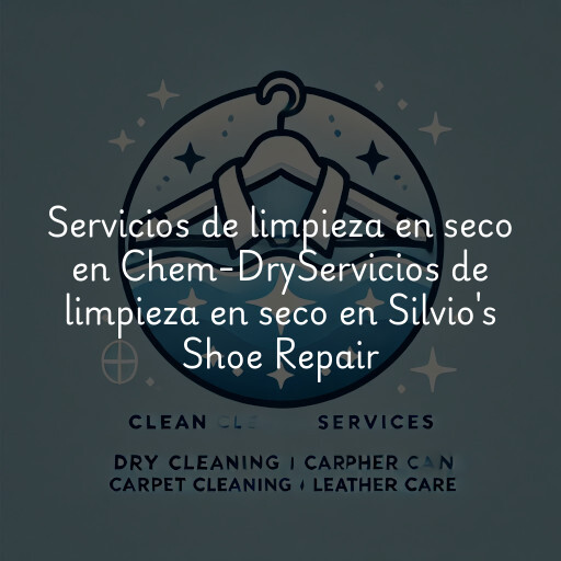 Servicios de limpieza en seco en