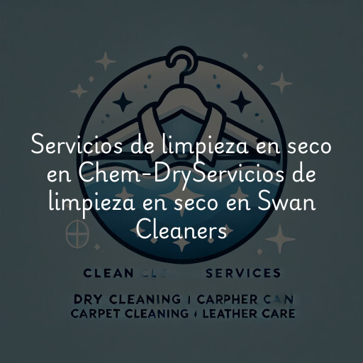 Servicios de limpieza en seco en
