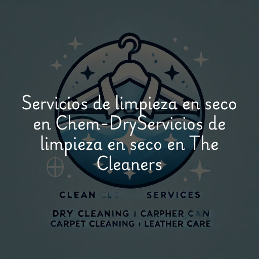 Servicios de limpieza en seco en