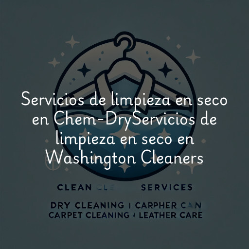Servicios de limpieza en seco en