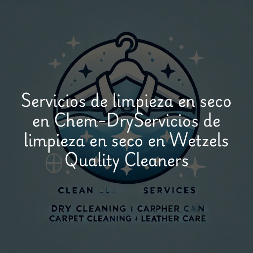 Servicios de limpieza en seco en