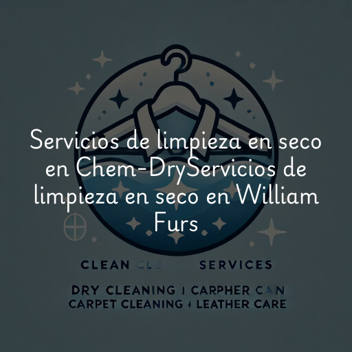 Servicios de limpieza en seco en