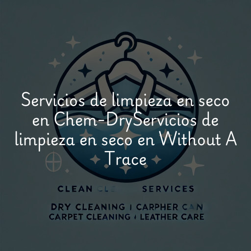 Servicios de limpieza en seco en