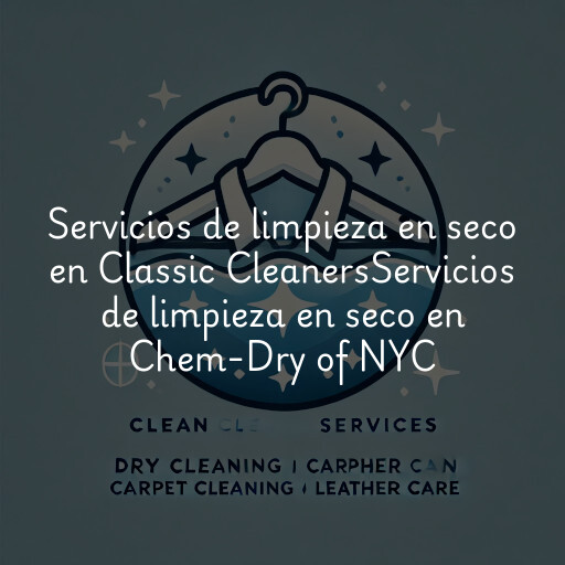 Servicios de limpieza en seco en
