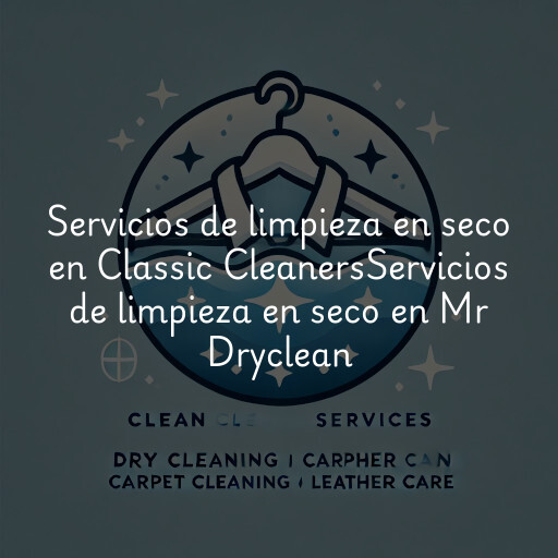 Servicios de limpieza en seco en