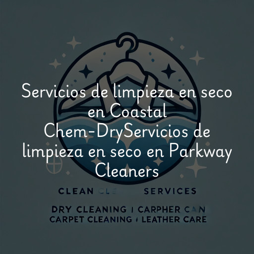 Servicios de limpieza en seco en