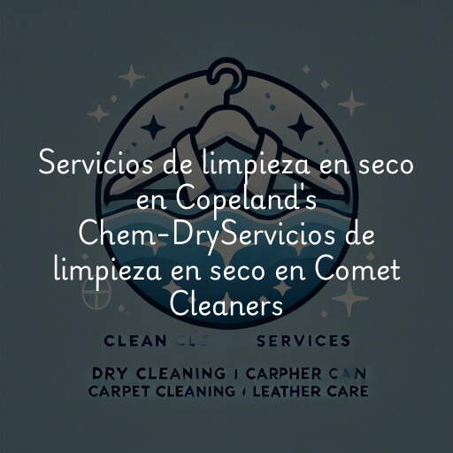 Servicios de limpieza en seco en