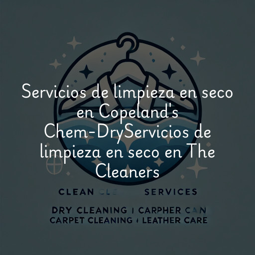 Servicios de limpieza en seco en