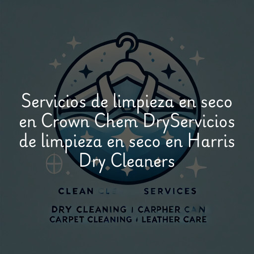 Servicios de limpieza en seco en