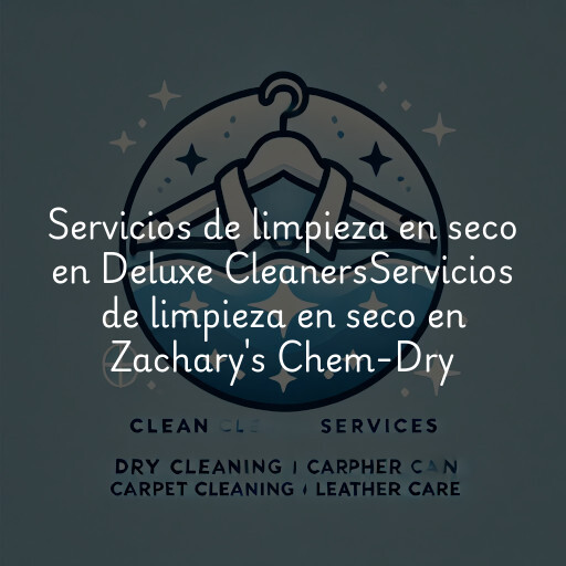 Servicios de limpieza en seco en