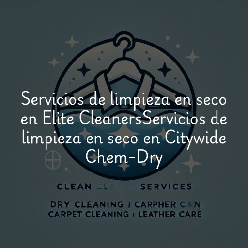 Servicios de limpieza en seco en