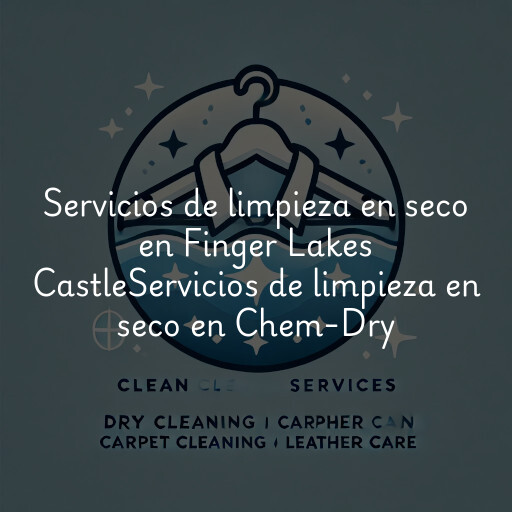 Servicios de limpieza en seco en