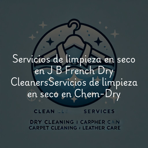 Servicios de limpieza en seco en
