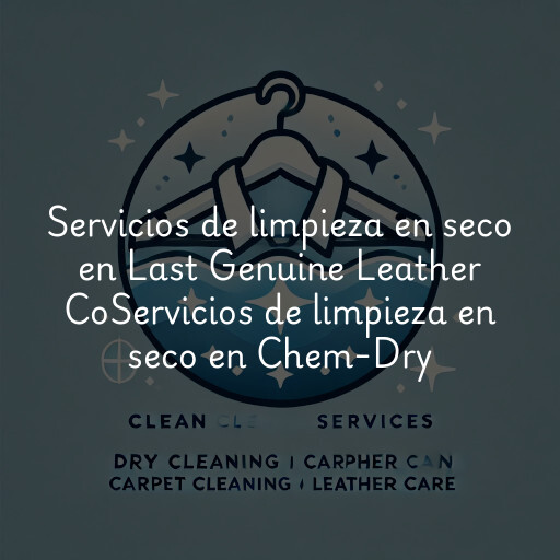 Servicios de limpieza en seco en