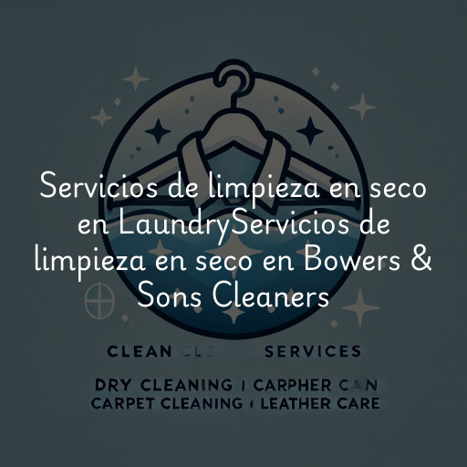 Servicios de limpieza en seco en