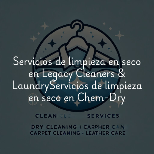 Servicios de limpieza en seco en