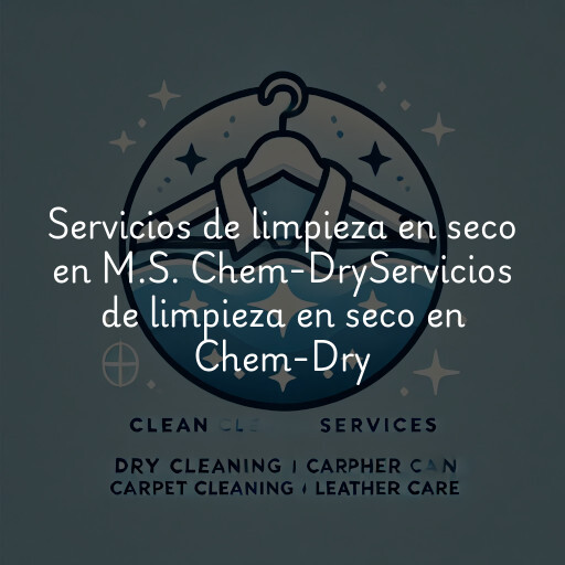 Servicios de limpieza en seco en