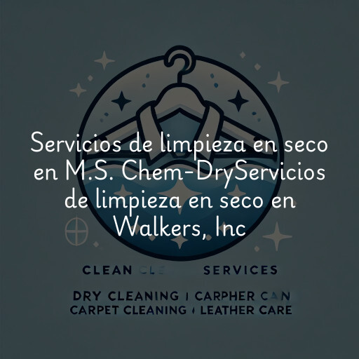 Servicios de limpieza en seco en