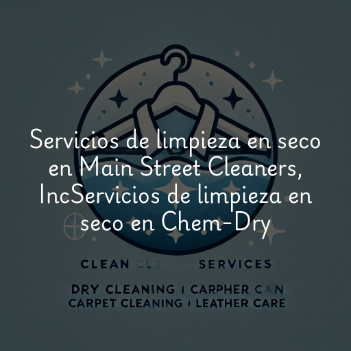 Servicios de limpieza en seco en