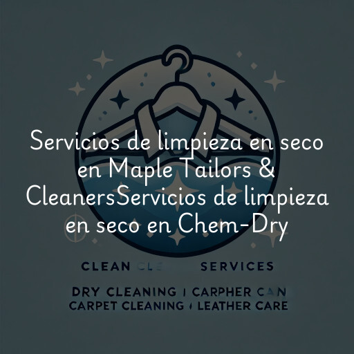 Servicios de limpieza en seco en