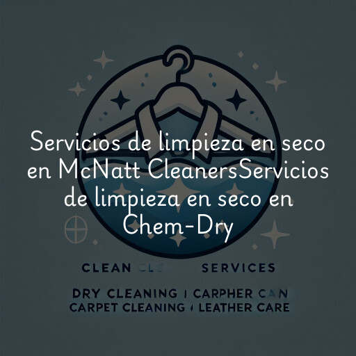 Servicios de limpieza en seco en