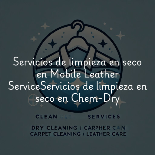 Servicios de limpieza en seco en