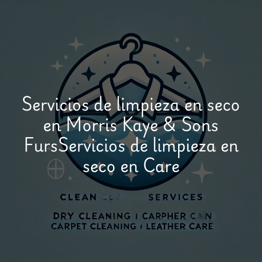 Servicios de limpieza en seco en