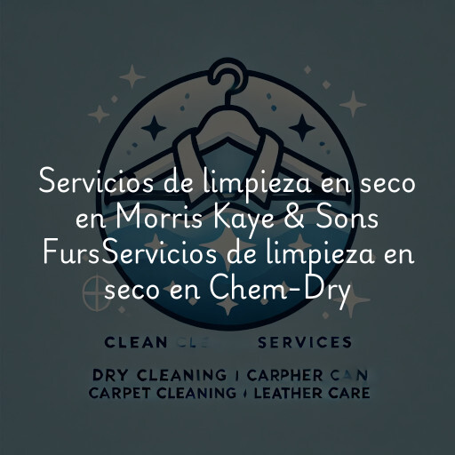 Servicios de limpieza en seco en