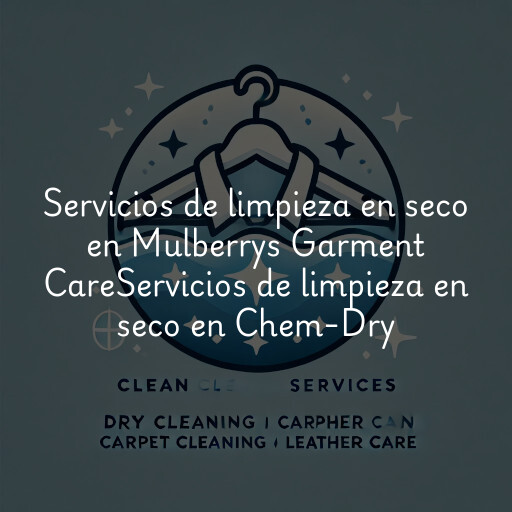 Servicios de limpieza en seco en