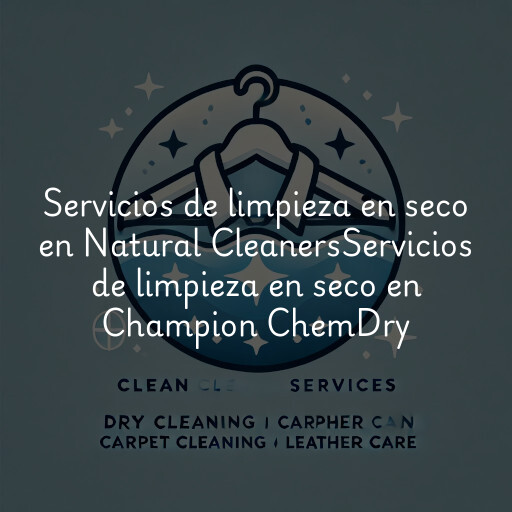 Servicios de limpieza en seco en