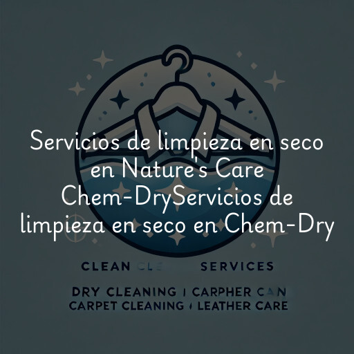 Servicios de limpieza en seco en