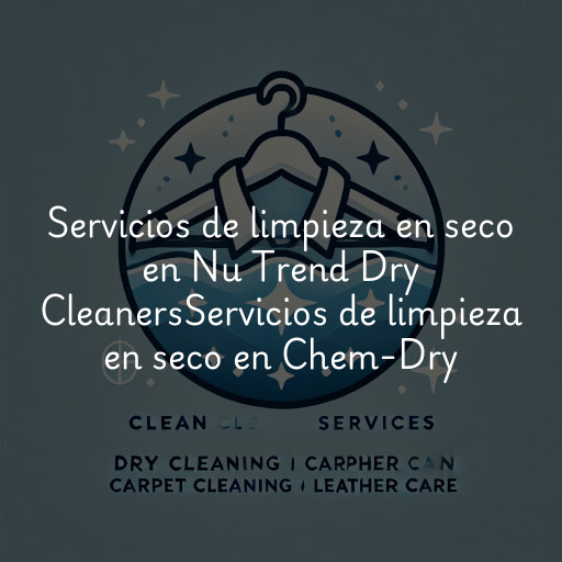 Servicios de limpieza en seco en