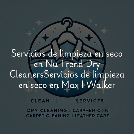 Servicios de limpieza en seco en