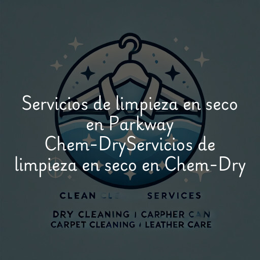 Servicios de limpieza en seco en