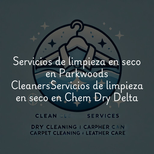Servicios de limpieza en seco en