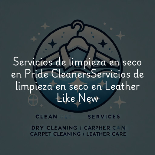 Servicios de limpieza en seco en
